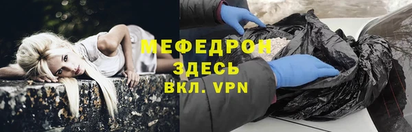 гидра Богородск