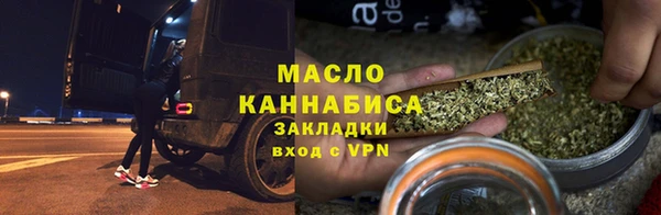гидра Богородицк