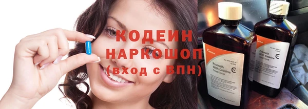 гидра Богородицк