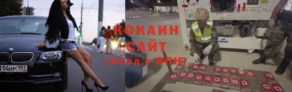 гидра Богородск