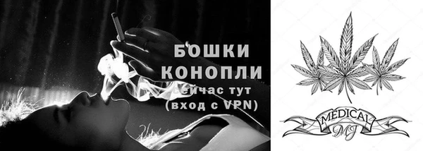гидра Богородск