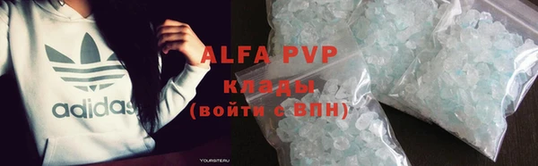 гидра Богородицк