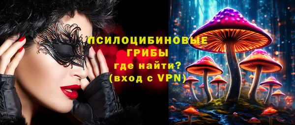 гидра Богородицк