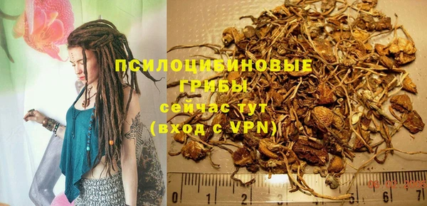 гидра Богородицк