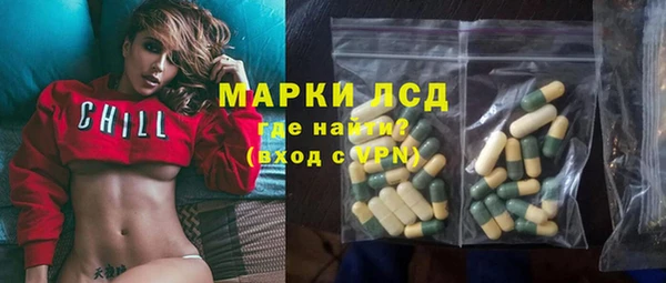 гидра Богородицк