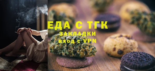 гидра Богородицк