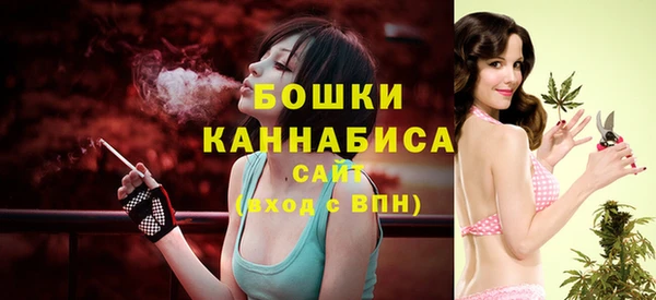гидра Богородицк